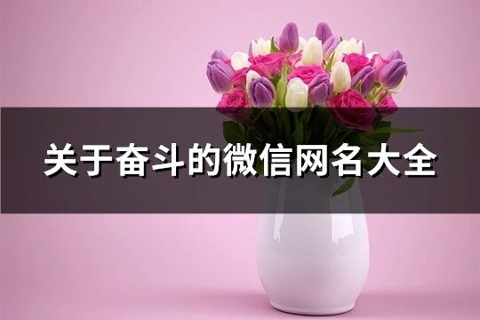 關于奮斗的微信網名大全(共360個)