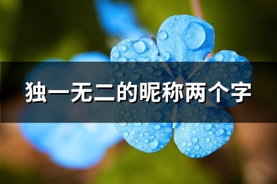 獨(dú)一無二的昵稱兩個(gè)字(優(yōu)選692個(gè))