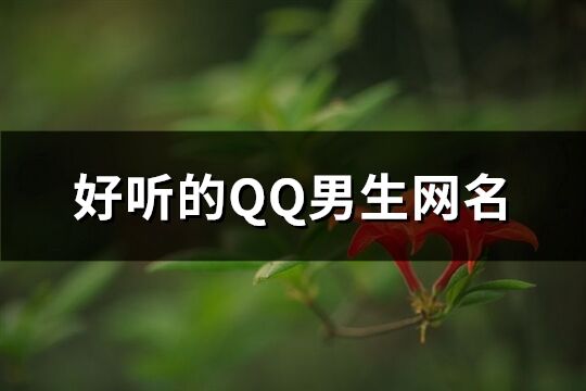 好聽的QQ男生網(wǎng)名(優(yōu)選552個)