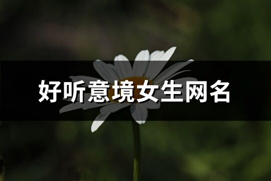 好聽意境女生網名(共425個)