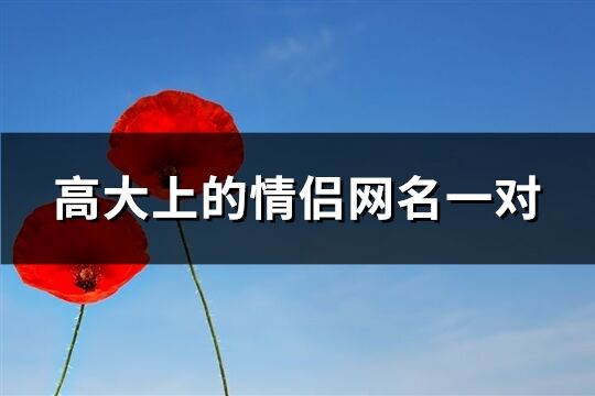 高大上的情侶網名一對(381個)