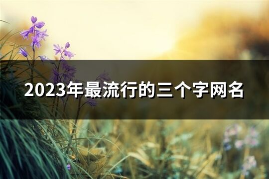 2023年最流行的三個字網(wǎng)名(精選903個)