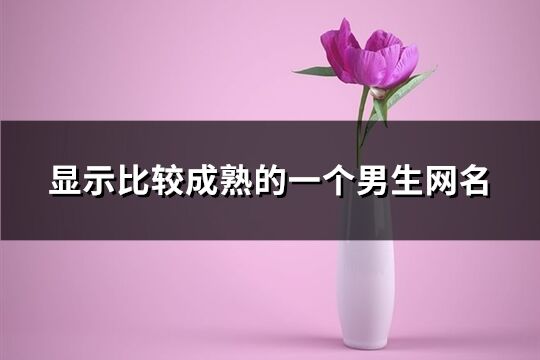 顯示比較成熟的一個男生網名(精選1012個)