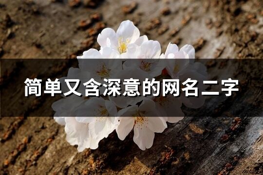 簡單又含深意的網(wǎng)名二字(精選1893個(gè))