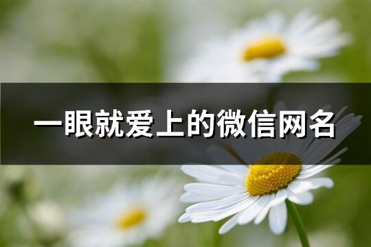 一眼就愛上的微信網名(共391個)