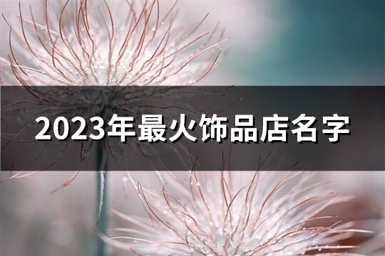 2023年最火飾品店名字(94個)