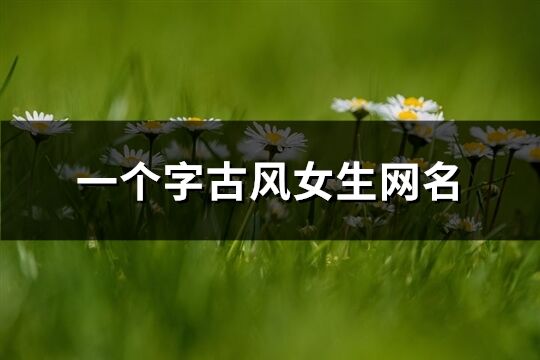 一個字古風(fēng)女生網(wǎng)名(精選142個)