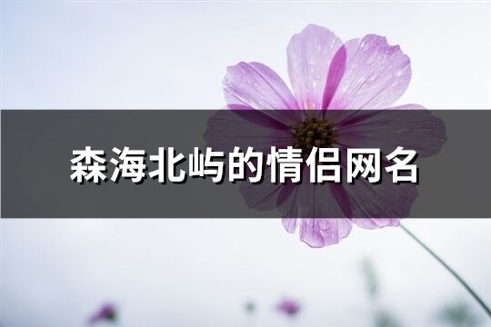 森海北嶼的情侶網名(共66個)