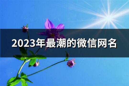 2023年最潮的微信網名(精選706個)