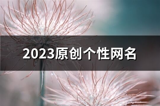 2023原創(chuàng)個性網(wǎng)名(精選1232個)