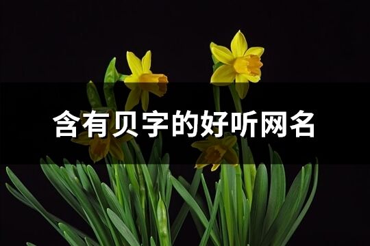 含有貝字的好聽網名(共70個)