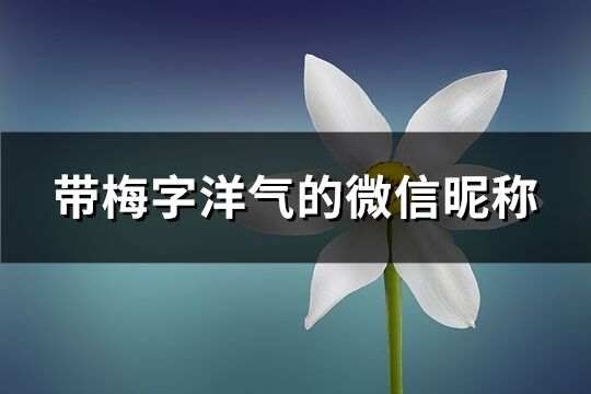 帶梅字洋氣的微信昵稱(94個(gè))
