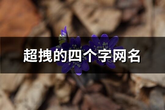 超拽的四個(gè)字網(wǎng)名(396個(gè))