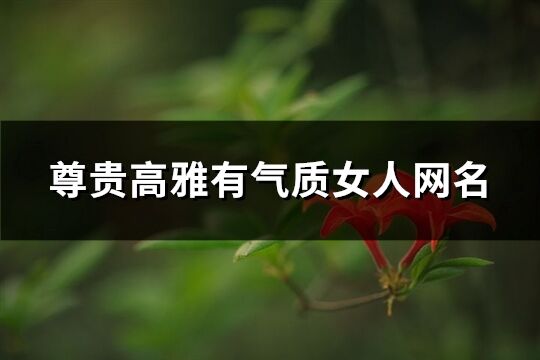 尊貴高雅有氣質女人網名(精選293個)