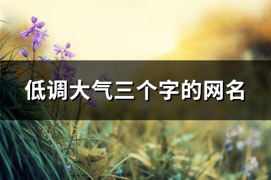 低調大氣三個字的網名(共66個)