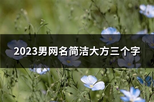 2023男網(wǎng)名簡(jiǎn)潔大方三個(gè)字(409個(gè))