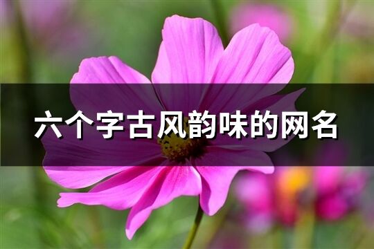 六個字古風韻味的網名(共940個)