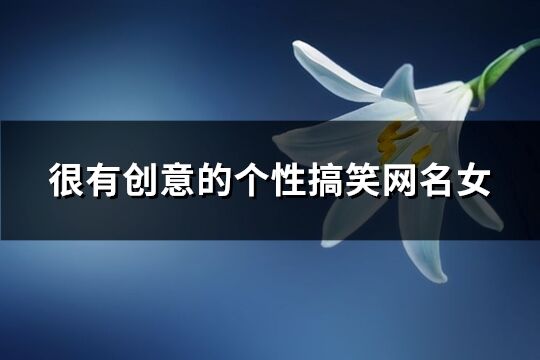 很有創(chuàng)意的個性搞笑網(wǎng)名女(共218個)