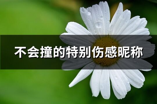 不會(huì)撞的特別傷感昵稱(精選83個(gè))