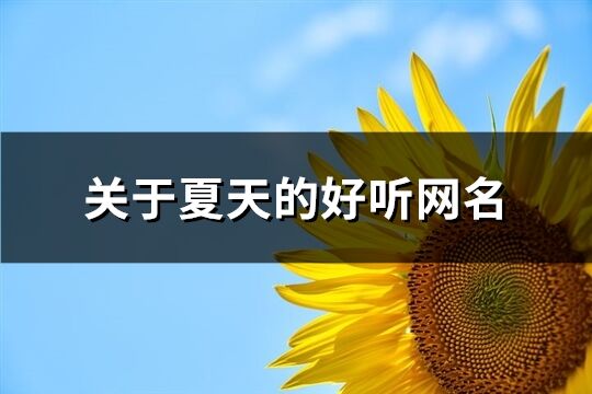 關于夏天的好聽網名(優選232個)