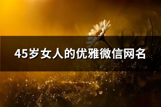 45歲女人的優雅微信網名(231個)