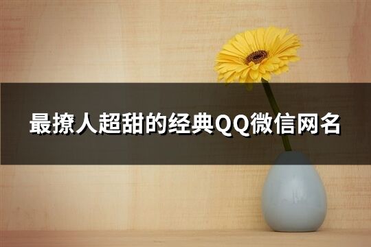 最撩人超甜的經典QQ微信網名(共660個)