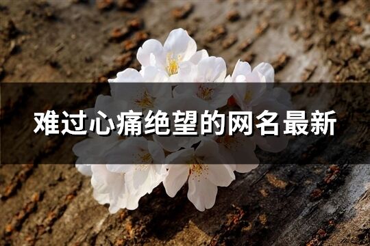 難過心痛絕望的網(wǎng)名最新(優(yōu)選382個)