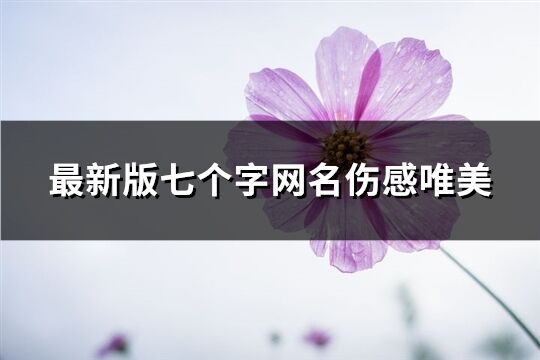 最新版七個(gè)字網(wǎng)名傷感唯美(優(yōu)選333個(gè))