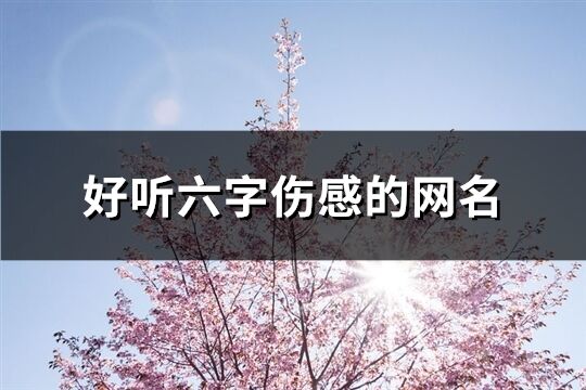 好聽六字傷感的網(wǎng)名(共687個)