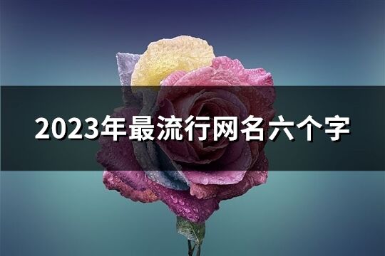2023年最流行網名六個字(共771個)
