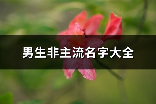 男生非主流名字大全(優選257個)