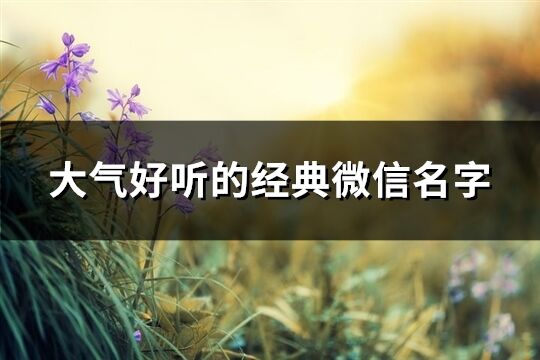 大氣好聽(tīng)的經(jīng)典微信名字(精選994個(gè))