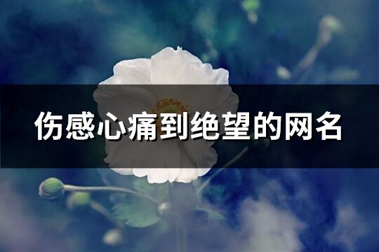 傷感心痛到絕望的網名(優選490個)
