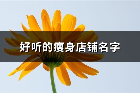 好聽的瘦身店鋪名字(優選144個)