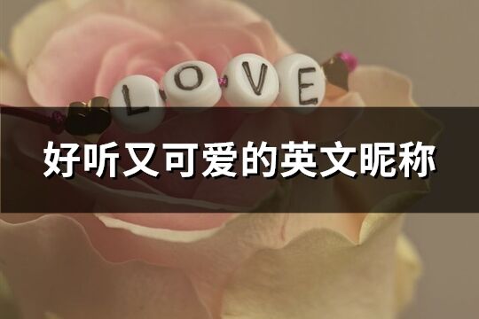 好聽(tīng)又可愛(ài)的英文昵稱(精選169個(gè))