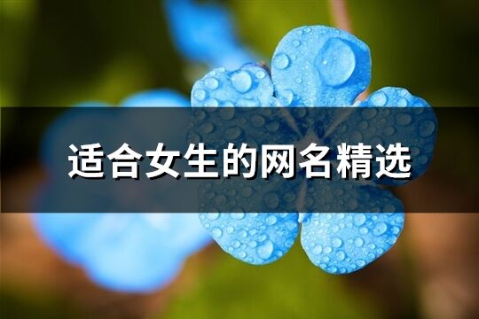 適合女生的網(wǎng)名精選(優(yōu)選556個)