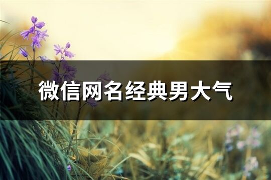 微信網名經典男大氣(優選466個)