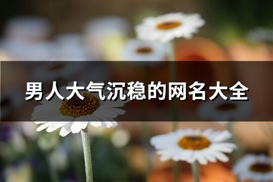 男***氣沉穩(wěn)的網(wǎng)名大全(精選503個)