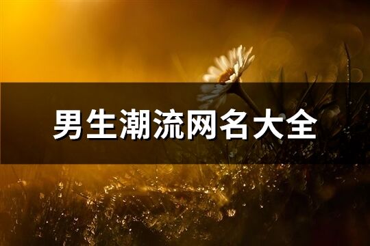 男生潮流網名大全(精選394個)