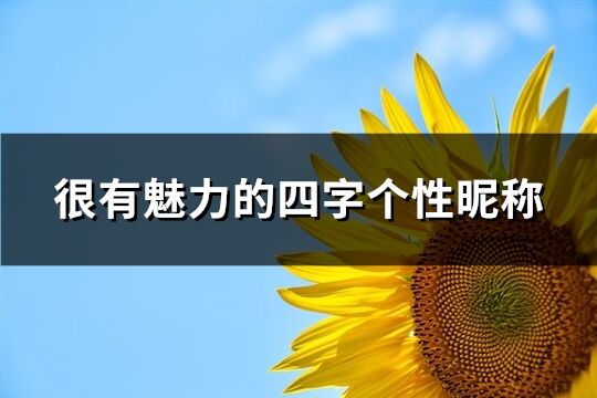 很有魅力的四字個性昵稱(513個)