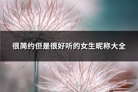 很簡(jiǎn)約但是很好聽(tīng)的女生昵稱大全(630個(gè))