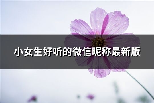 小女生好聽的微信昵稱最新版(438個)