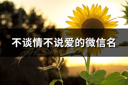 不談情不說愛的微信名(精選183個)
