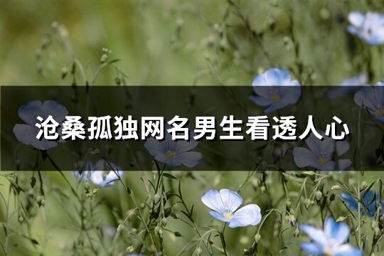 滄桑孤獨網名男生看透人心(優選273個)