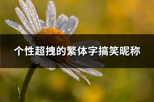 個性超拽的繁體字搞笑昵稱(優(yōu)選141個)