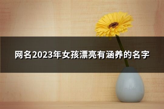 網名2023年女孩漂亮有涵養的名字(優選120個)
