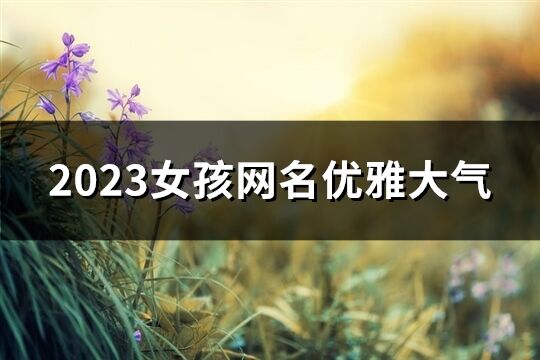 2023女孩網名優雅大氣(242個)