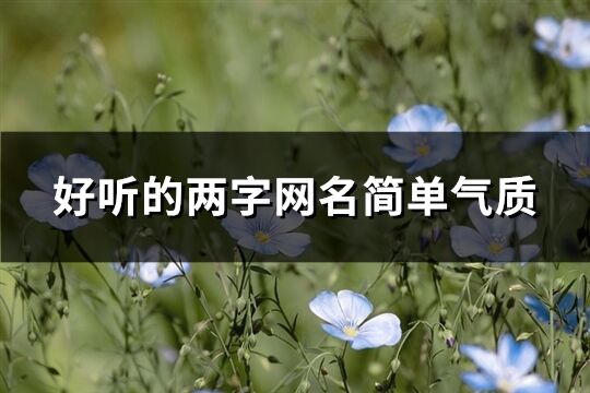 好聽的兩字網名簡單氣質(精選1420個)