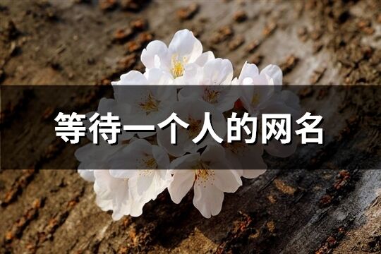 等待一個人的網名(精選293個)