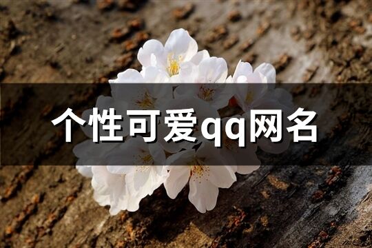 個性可愛qq網(wǎng)名(精選220個)